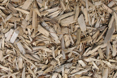 biomass boilers Alves